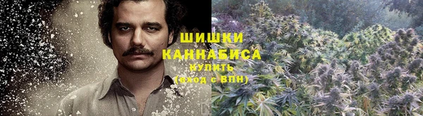 mdpv Корсаков