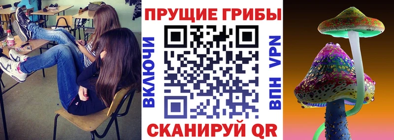 кракен зеркало  Каменск-Шахтинский  Галлюциногенные грибы MAGIC MUSHROOMS 